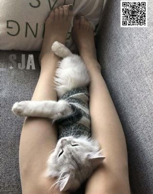 国产精品久久久久久三级_高清蓝光在线观看
